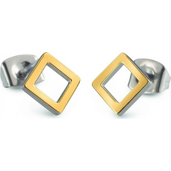 Náušnice Boccia Titanium 05022-02