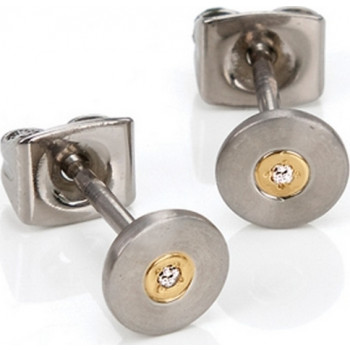 Náušnice Boccia Titanium 0545-02