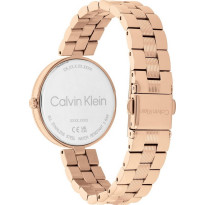 Dámske hodinky Calvin Klein 25100013