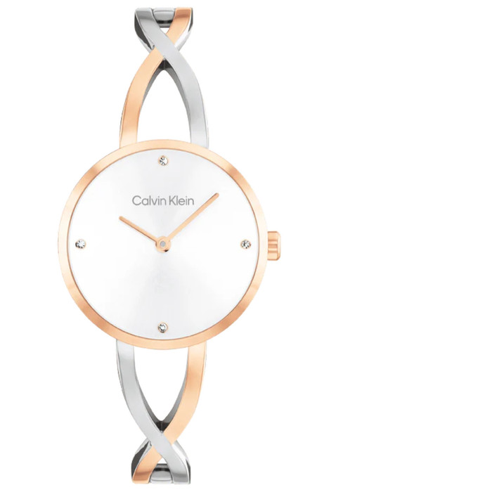 Dámske hodinky Calvin Klein 25100060