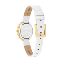 Dámske hodinky Calvin Klein 25100146