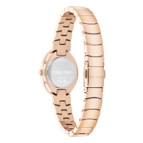 Dámske hodinky Calvin Klein 25100148