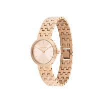 Dámske hodinky Calvin Klein 25100185