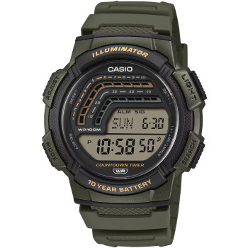 Pánske hodinky Casio WS-1800-3AVEF